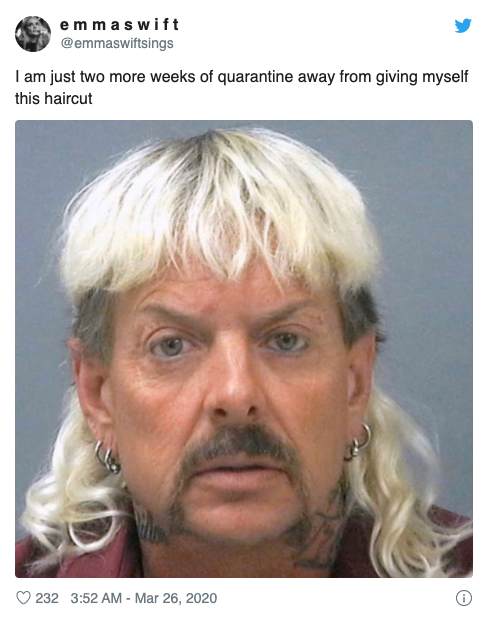 8 Lockdown Hair Fails That Prove How Much We Need The Professionals tiger king